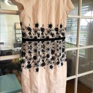 Dress— downeast basics